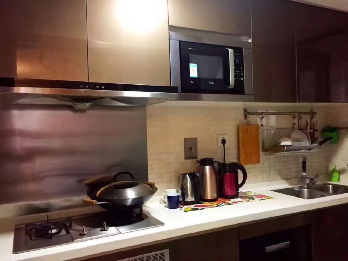 �������ų��л�԰װ��Ч��ͼ