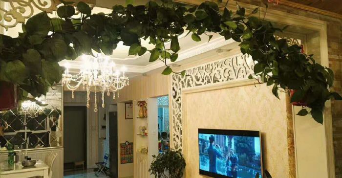 �ൺ��˳�װ��Ч��ͼ