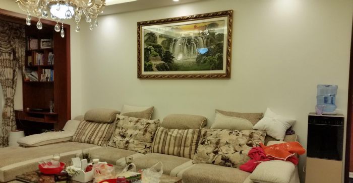 成都合能四季城装修效果图