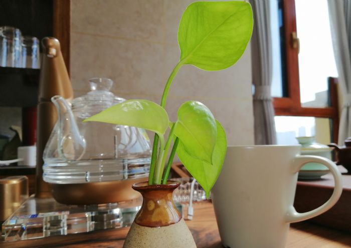 ����ǾޱϪ��װ��Ч��ͼ