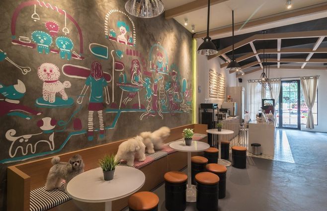 �Ϻ�����16��װ��Ч��ͼ