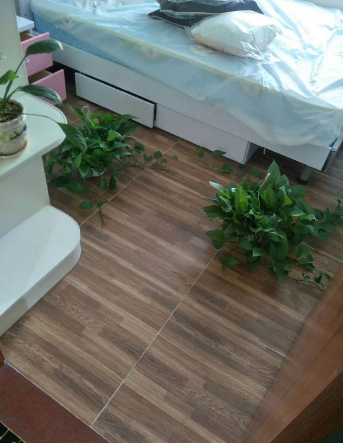 ��ɽ�����غ���װ��Ч��ͼ