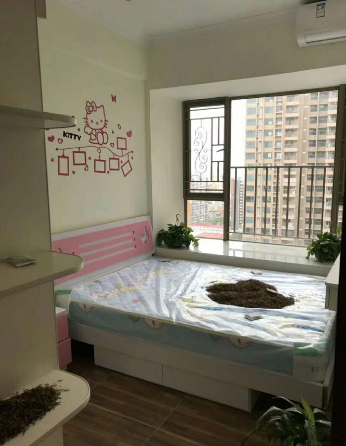 ��ɽ�����غ���װ��Ч��ͼ