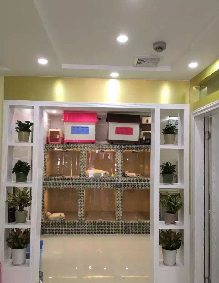 �����ɸ��Ǽʼҹ�װ��Ч��ͼ