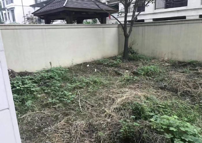 石家庄原和别墅装修效果图