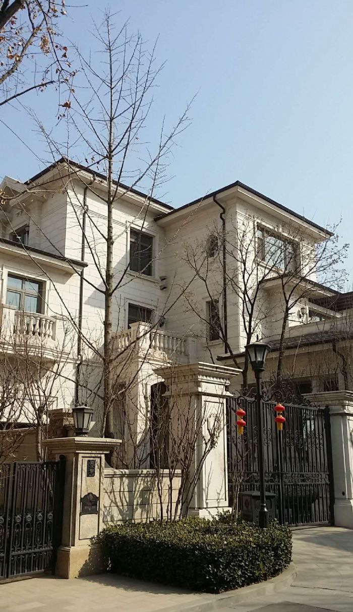 石家庄原和别墅装修效果图