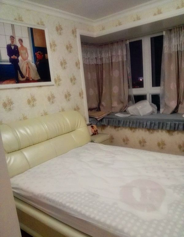 �Ϻ�������������԰��Ӳװװ��Ч��ͼ