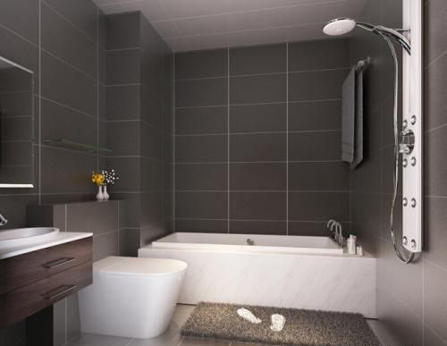 ����������԰װ��Ч��ͼ