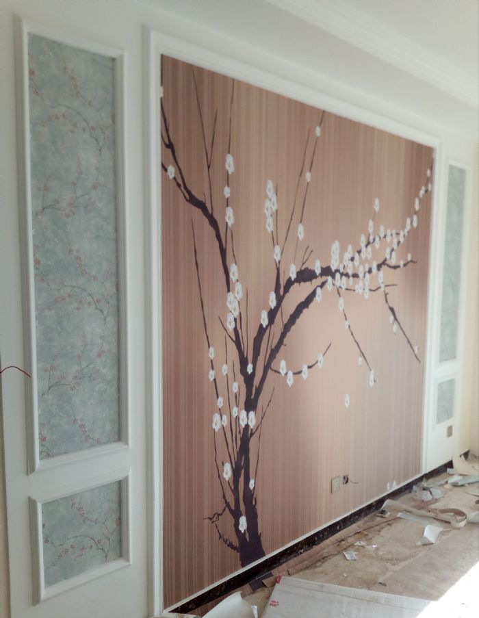 ʯ��ׯ�����԰װ��Ч��ͼ