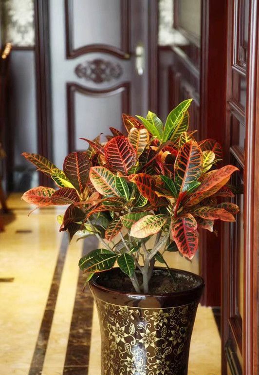 ��ɽ�Ϻ����� װ��Ч��ͼ