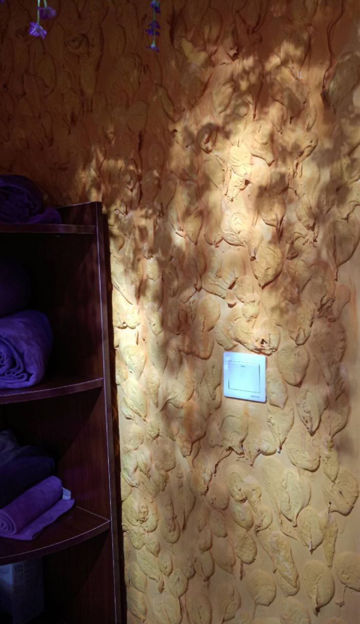 ��������������������װ��Ч��ͼ