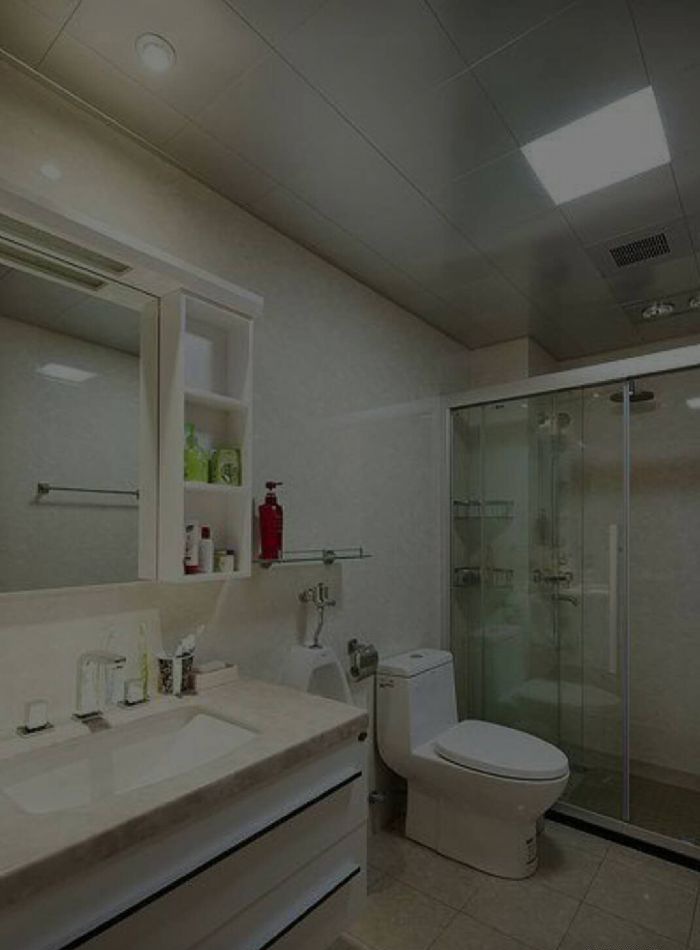 �����ֺӴ���װ��Ч��ͼ