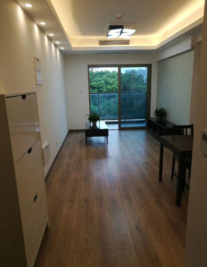 深圳港铁天颂装修效果图