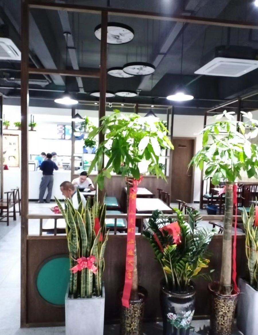 合肥临泉路朗峰大厦小麦町餐厅装修效果图