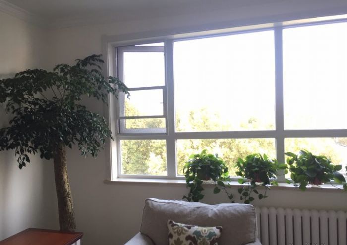 ֣�����м���Ժװ��Ч��ͼ