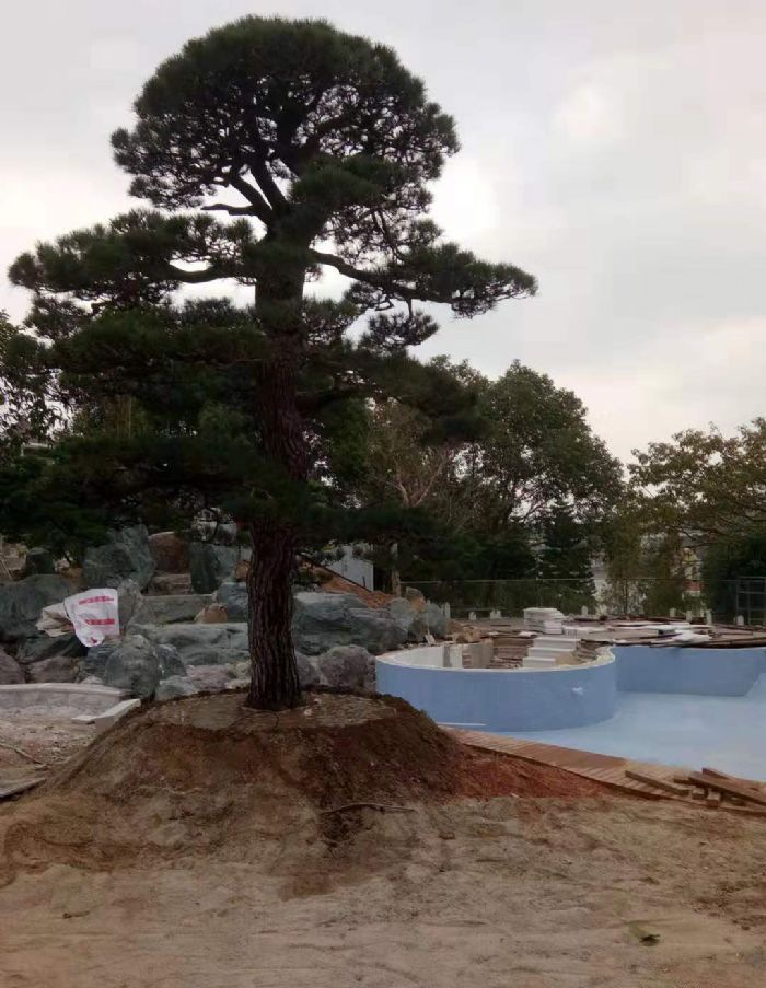 ����Ȫ�ݱ�ɺ��԰���� ���չʾ����ʩ���������ޣ�װ��Ч��ͼ