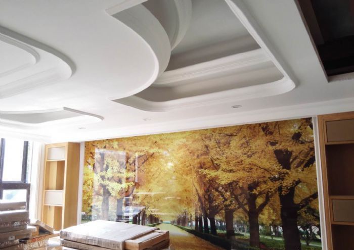 鄂州湖山大镜装修效果图