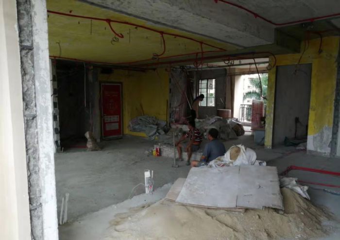 广州星河湾荟心园李小姐装修效果图