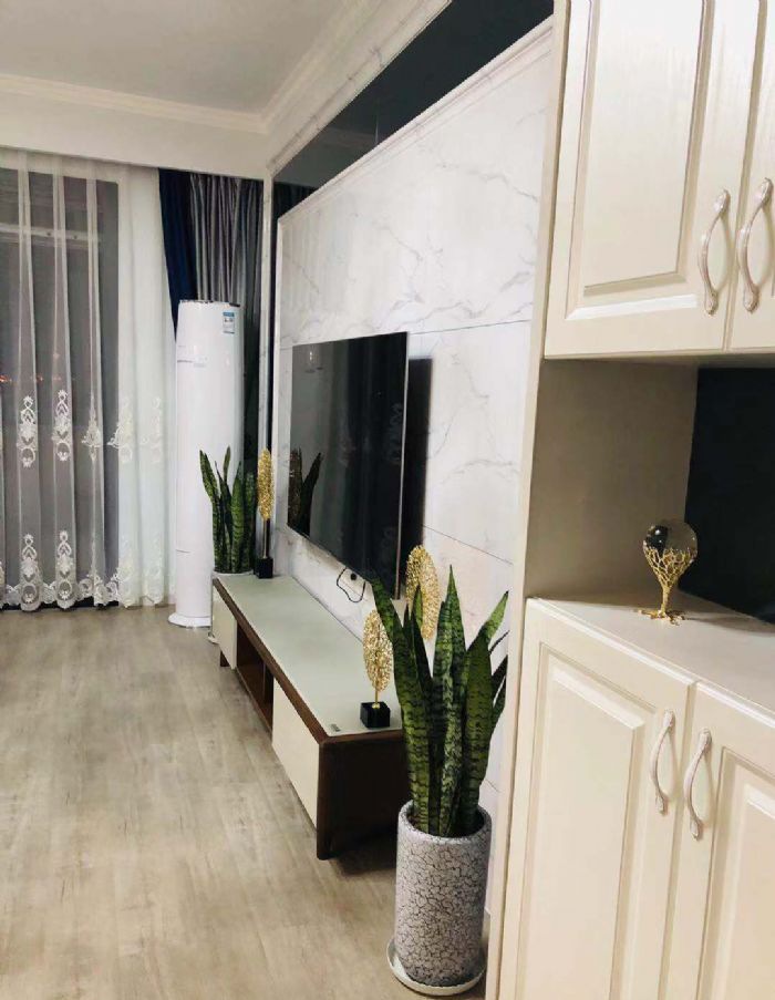 武汉长江明珠装修效果图