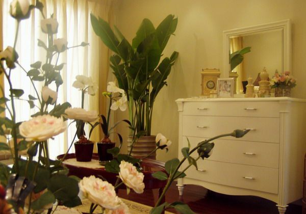 �Ͼ����ϻ�԰װ��Ч��ͼ