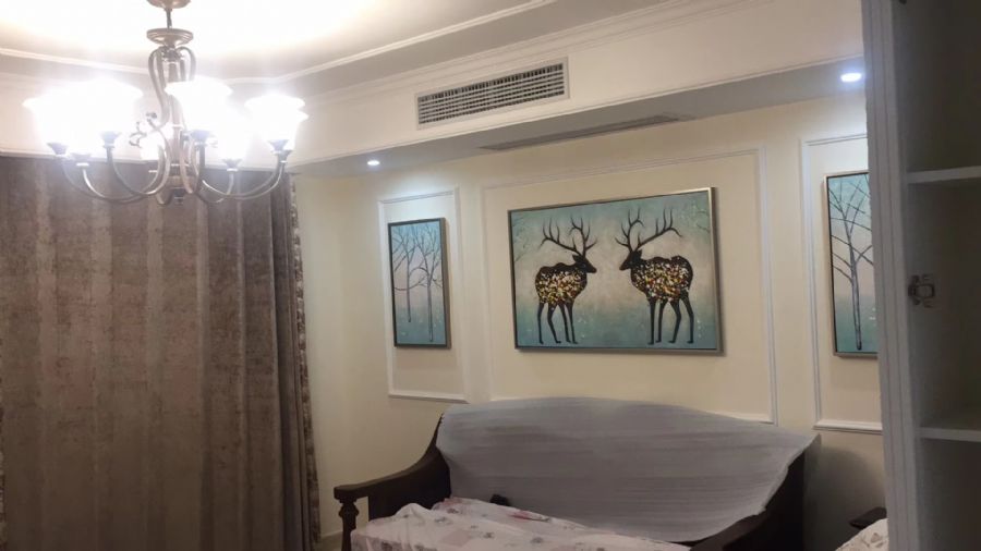 合肥海亮红玺台装修效果图